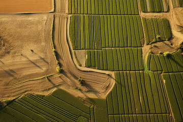 cultivated land seen from above