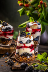 Homemade granola with greek yogurt, berries jam and fresh blackberries and blueberries in glasses