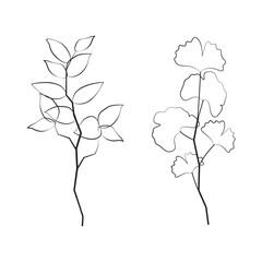 Set of silhouette branches with leaf in modern style. Vector leaves isolated on white background. Hand drawn decorative botanical elements