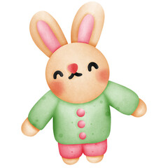 Single boy bunny christmas with red green cloth illustration