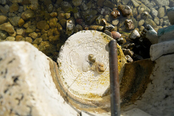 Old stone fountain in the green garden for alternative water supply for drinking