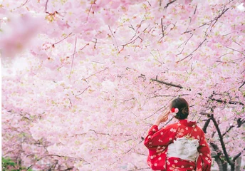 Raamstickers Asian woman wearing kimono with cherry blossoms,sakura in Japan. © grooveriderz