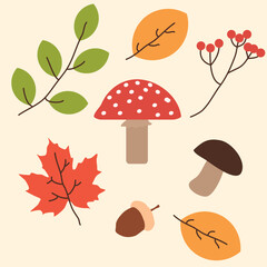 baby pattern for packaging. Vector colorful autumn natural seamless pattern with fall leaves, fruits, pumpkins and mushrooms. Fall endless background