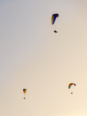 Paragliders flying in sky.