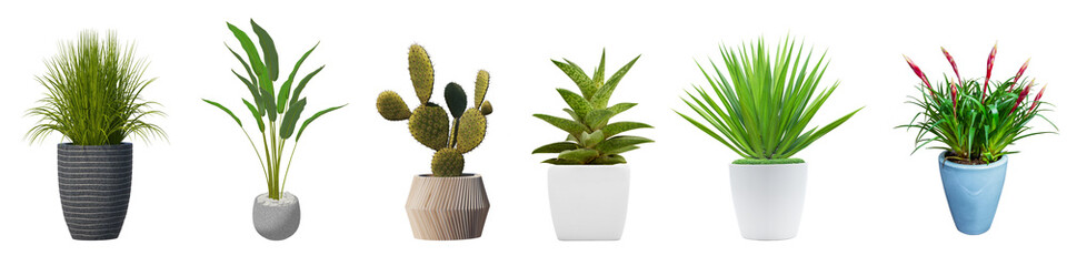 Elegant Ceramic Planters: Captivating Plants in 3D Rendering, Isolated on Transparent Background