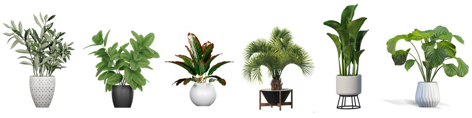 Botanical Delights in Ceramic Pots: Beautiful Plants Showcased in 3D Render, Isolated on Transparent Background