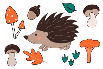 Vector illustration with cute hedgehog, mushrooms, acorn, leaves in cartoon style. Forest animals and plants.
