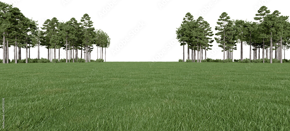 Fototapete realistic meadow and forest tree line. 3d rendering of isolated objects.