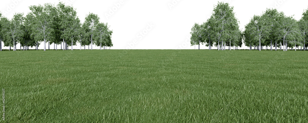 Fototapete realistic meadow and forest tree line. 3d rendering of isolated objects.