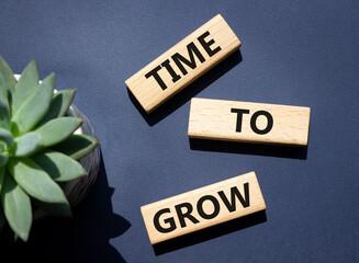 Time to Grow symbol. Concept word Time to Grow on wooden blocks. Beautiful deep blue background....