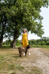 Naklejka na ściany i meble Pretty young woman in yellow dress and a hat sitting under the tree with dog. Female relax in hot summer day.