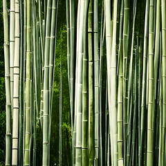 Bamboo Trees
Generative AI