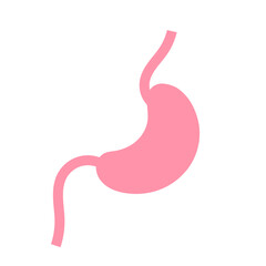 Human stomach illustration