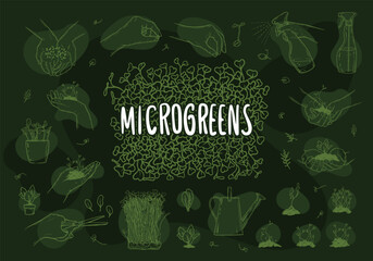 Microgreens, graphic image of human hands with microgreen.