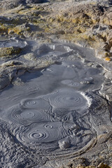 Stunning geothermic field of Sol de Ma&ntilde;ana with its steaming geysers and hot pools with bubbling mud - just one sight on the lagoon route in Bolivia, South America
