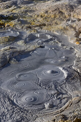 Stunning geothermic field of Sol de Mañana with its steaming geysers and hot pools with bubbling mud - just one sight on the lagoon route in Bolivia, South America
