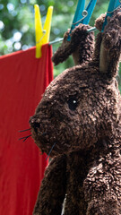 Obraz premium Plush rabbit. A plush rabbit hangs on a clothesline. A plush rabbit is drying on a rope