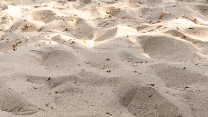 Sandy yellow background. Sand nature texture in summer sunny day