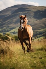 Fototapeta na wymiar Brown horse galloping in field on sunny day, created using generative ai technology