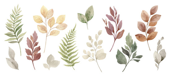 Watercolor vector set of fall branches isolated on a white background. - obrazy, fototapety, plakaty