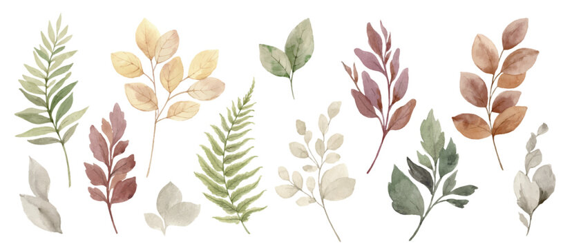 Watercolor vector set of fall branches isolated on a white background.