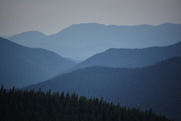 Carpathians, mountains in the fog, landscape of summer landscapes