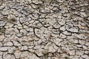 Trockenheit Dürre 1