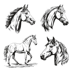 Horse head logo Vector Illustration