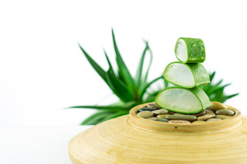 Still life composed of sectioned leaves of aloe vera placed vertically one piece after another on stones and a wooden bowl with a background of aloe plant in a zen style