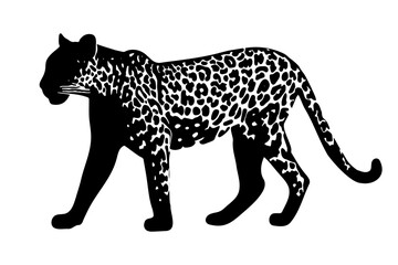 Jaguar silhouette isolated on white background. Vector illustration