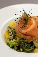 Close up macro salmon salad with micro greens in white plate with avocado 