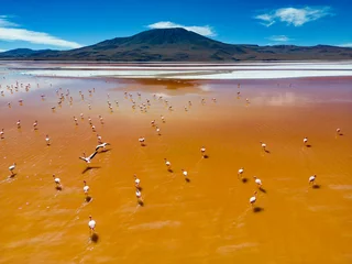 Fototapeten Aerial view of flamingos in the colorful Laguna Colorada in the remote Fauna Andina Eduardo Avaroa National Reserve in the Bolivian Altiplano in South America © freedom_wanted