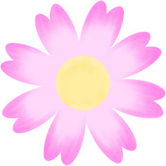 Daisy pink