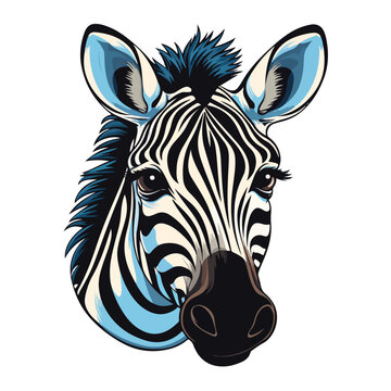 vector zebra illustration zebra animal natural life wild nature vector zebra illustration