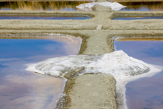 Marais salants en Loire Atlantique