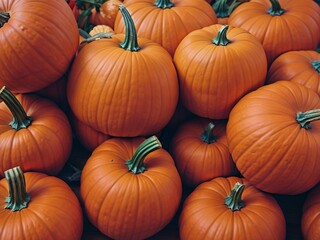 Harvested orange pumpkins in a random pile. Pumpkin background. 