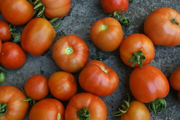 Fresh red tomatoes. Beautiful red ripe  tomatoes. Tomato isolated. Tasty red heirloom tomatoes. It is most popular vegetable. 
The species originated in western South America and Central America.