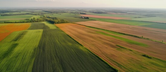 Obraz premium Sweeping aerial view of vast, multicolored agricultural fields.