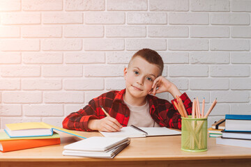 Concept back to the school. A joyful smiling boy in the process of studying sits at a table with books, notebooks and pencils. Front view