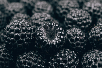 Black raspberries closeup. Macro shot. Heap of fresh ripe and sweet raspberries. 