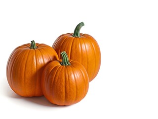 Pumpkins isolated on white background