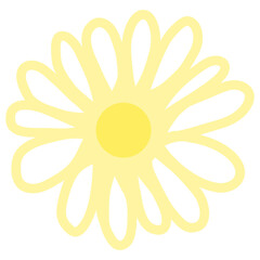 Yellow daisy flower