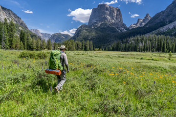 Matured Caucasian man, hiker, walking through a field of wildflowers and green grass in a scene of rugged mountains, Wind River Range, Wyoming