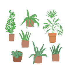 Fototapeta na wymiar Plant in pot vector illustration set. Cartoon flat different indoor potted decorative houseplants for interior home or office decoration, green garden floral collection icons isolated on white. Vector