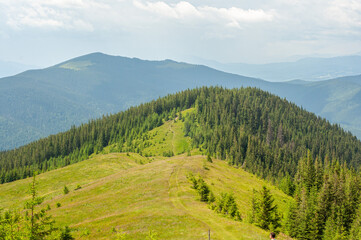 landscape in the mountains, the path to the top, the forest on the top, tourism, travel, the beauty of nature, conquest