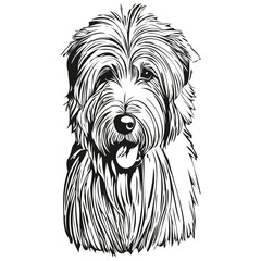 Old English Sheepdog dog outline pencil drawing artwork, black character on white background