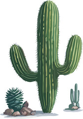 Watercolor  Cactus, Cactus vector, Painting Cactus,