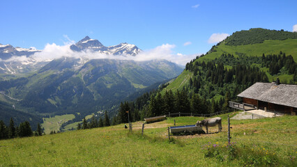 Fototapeta na wymiar Idyllic mountain landscape near Gstaad, Switzerland.