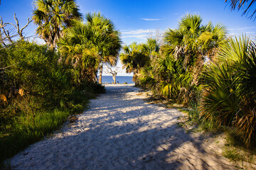 Sandy beach walk during afternoon on Deadwood beach in Jekyll island