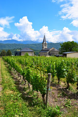 Fototapeta na wymiar Church tower and snow capped mountain top in distant with vineyards of the Savoie region in the French alps and Massif des Bauges